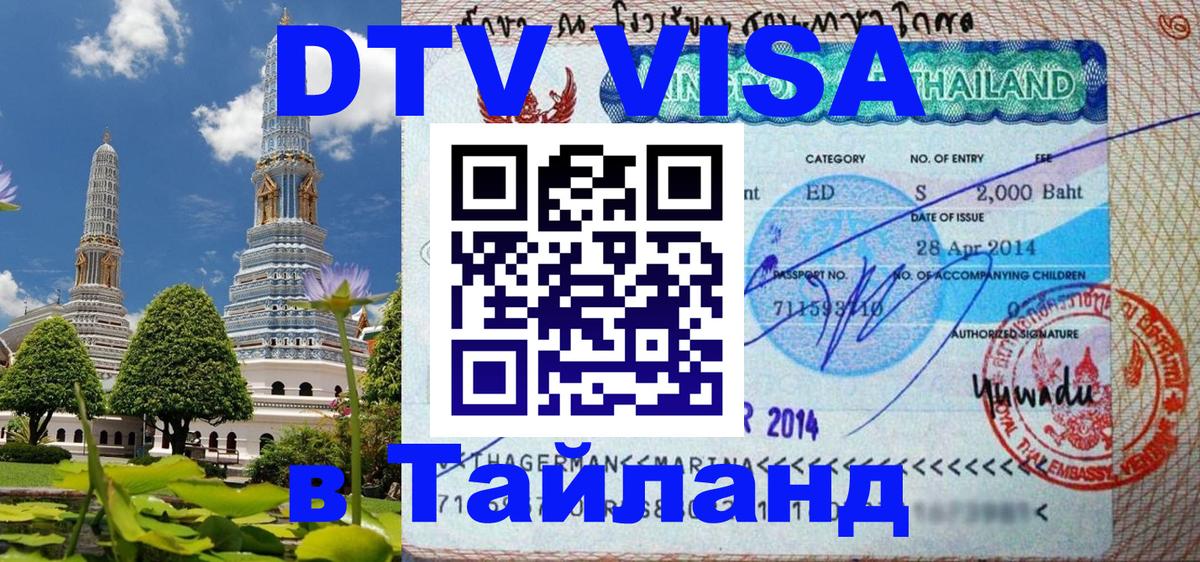 Оформление DTV визы под ключ: стоимость и тарифы, только загранпаспорт - 19.11.2025 
